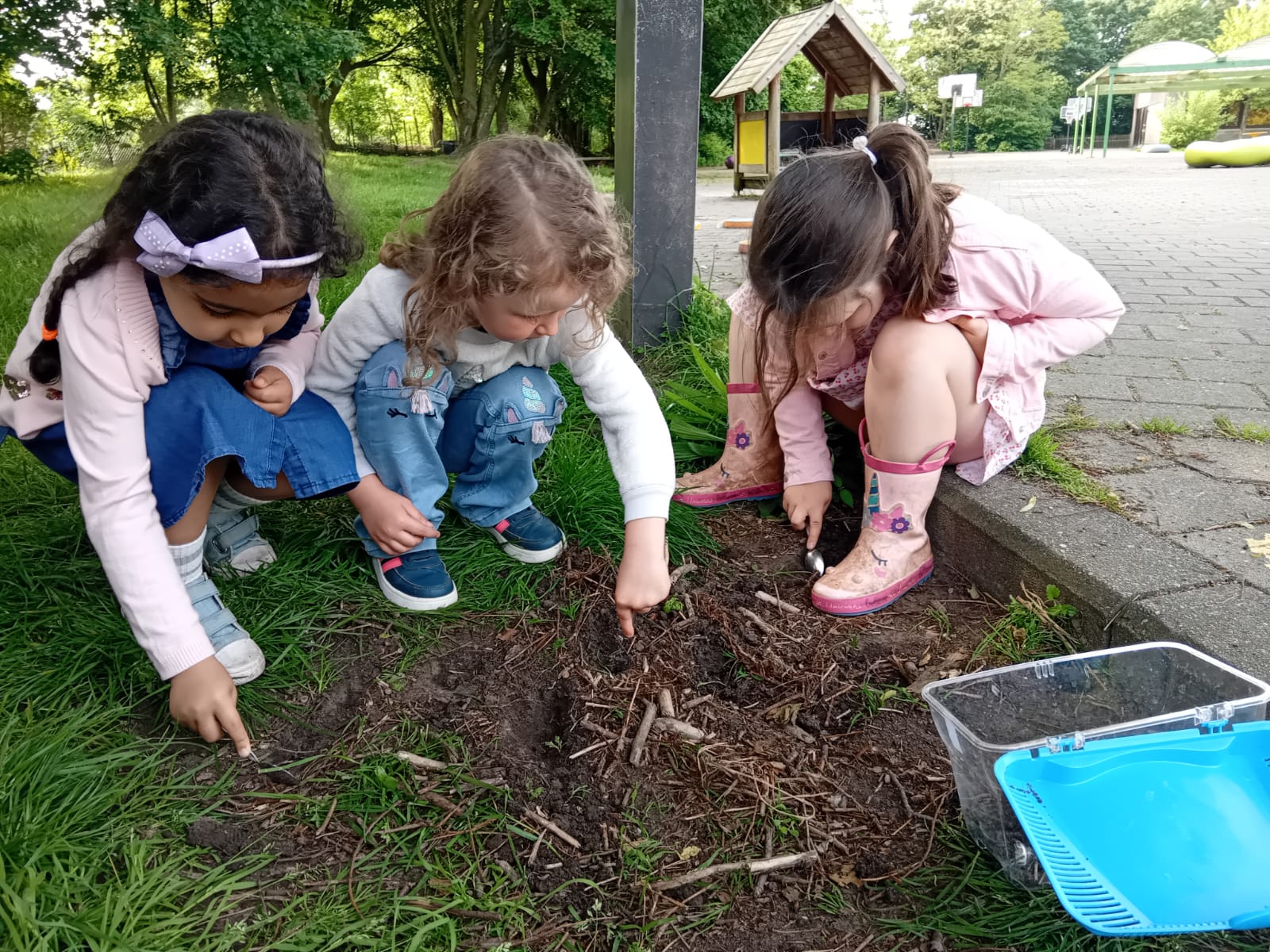 kikkers buiten leren